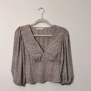 Long Sleeve Animal Print V-Neck